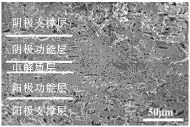 Single preparation method of solid oxide fuel cell