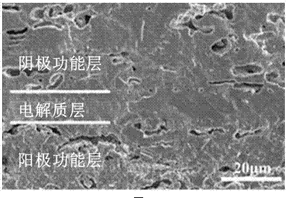 Single preparation method of solid oxide fuel cell