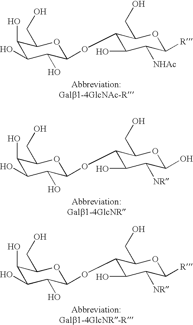 Method of producing derivatives of lactosamine