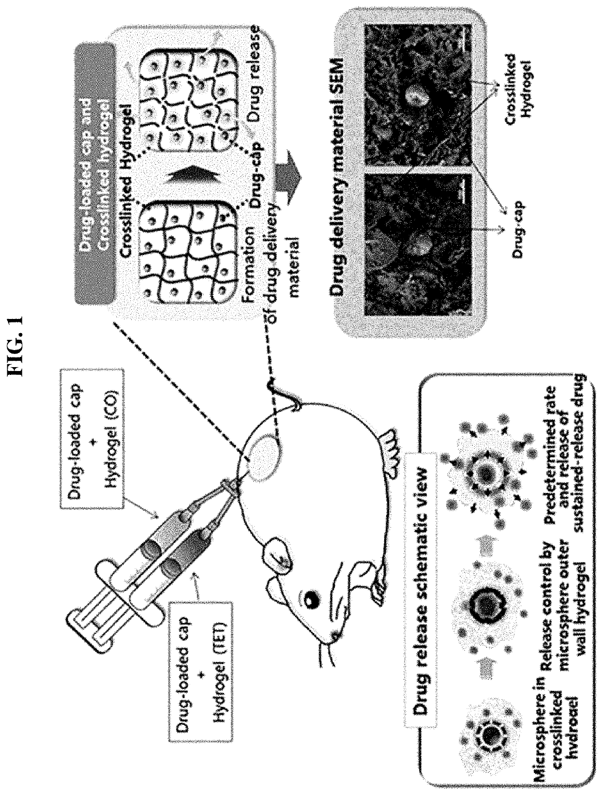 Drug delivery formulation for treating mental illness or central nervous system disorder