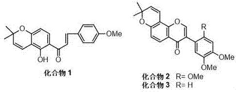 Flavonoid compounds existing in millettia pachycarpa and capable of inhibiting AChE (acetylcholinesterase) and BuChE (butyrylcholinesterase) and application of flavonoid compounds