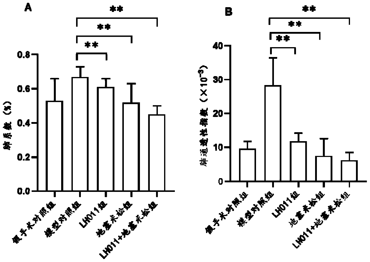 Composition for treating acute lung injury, and application thereof