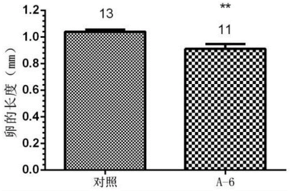 Pentapeptide analogue of insect allatostatin and application thereof