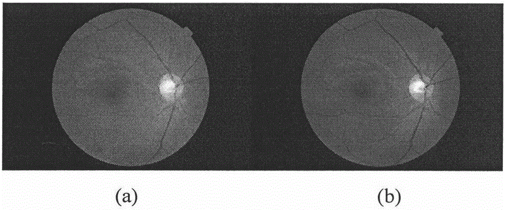 Videodisc positioning method combining Gbvs model and phase consistency