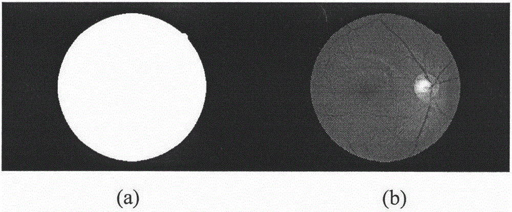 Videodisc positioning method combining Gbvs model and phase consistency