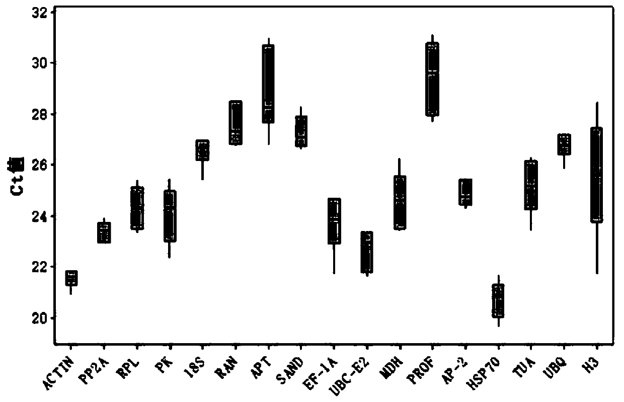 Fluorescent quantitative internal reference genes, primers and applications for different developmental stages of Changshan leaves in Haizhou