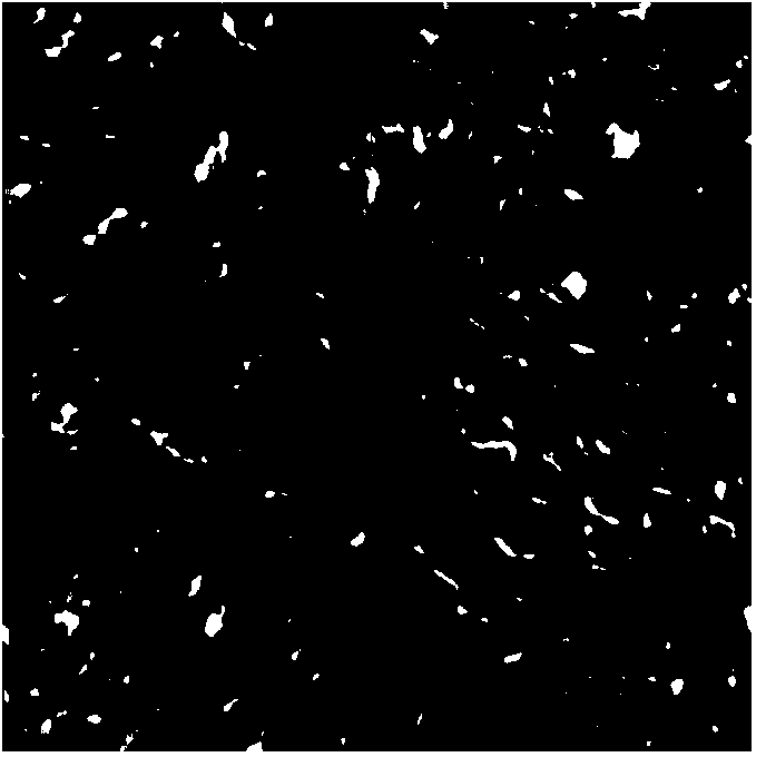 Classified display and quantitative detection method for martensite and residual austenite in M-A island