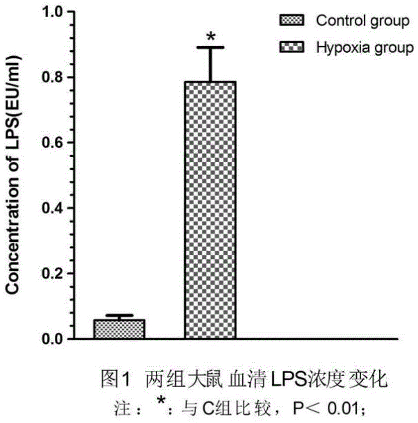 Establishment method for experimental plateau intestinal barrier injury rat model