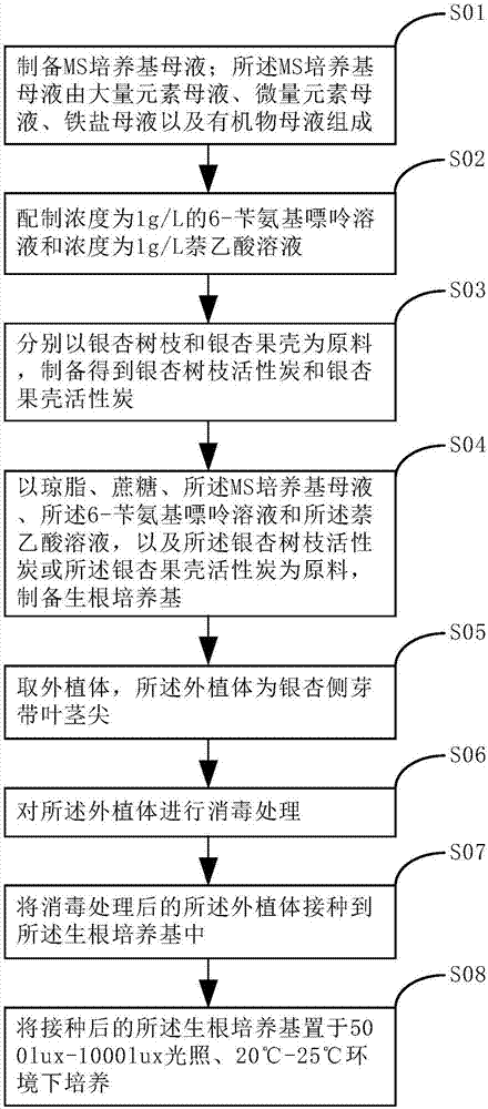 Tissue culture method and rooting medium for Ginkgo biloba