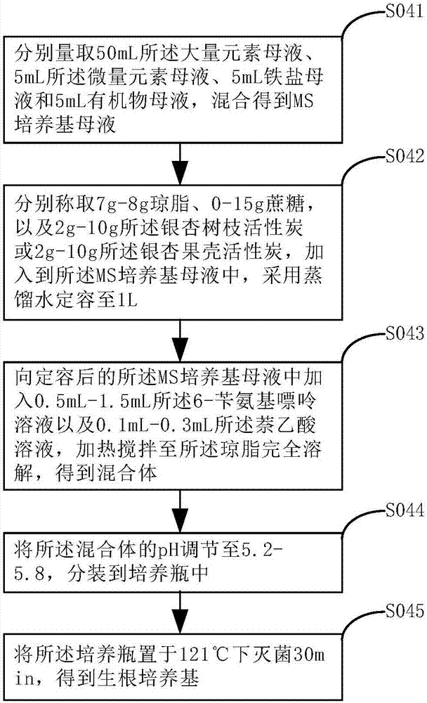 Tissue culture method and rooting medium for Ginkgo biloba