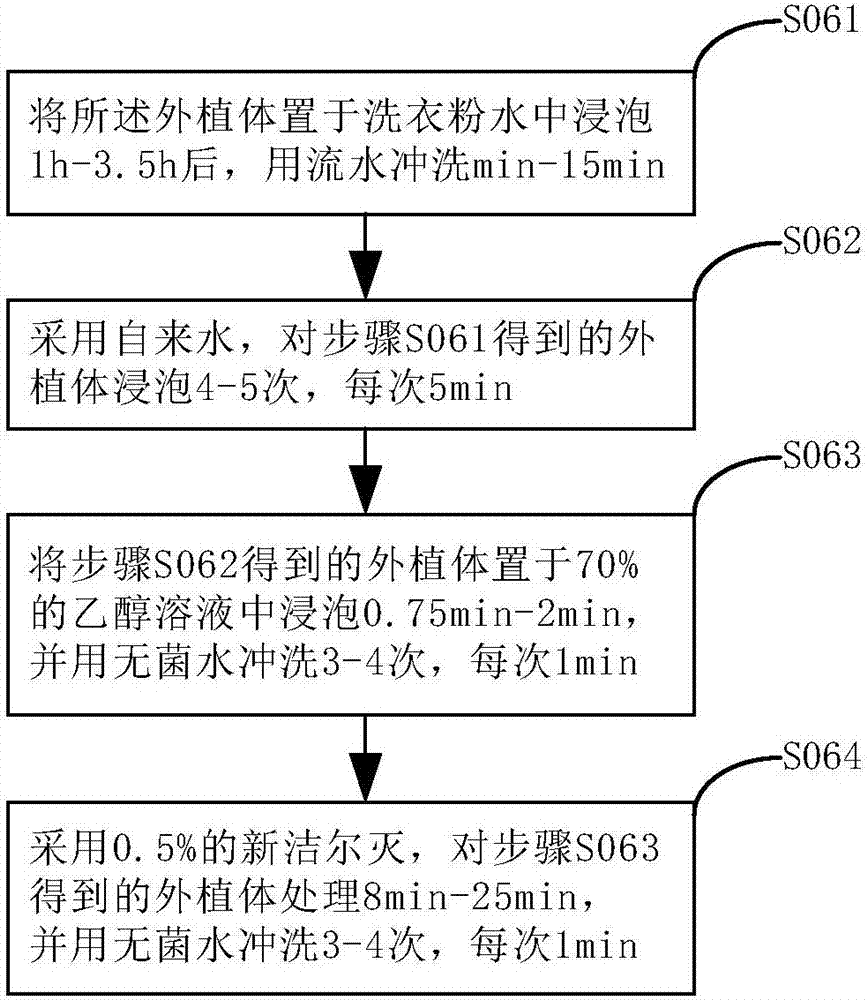 Tissue culture method and rooting medium for Ginkgo biloba