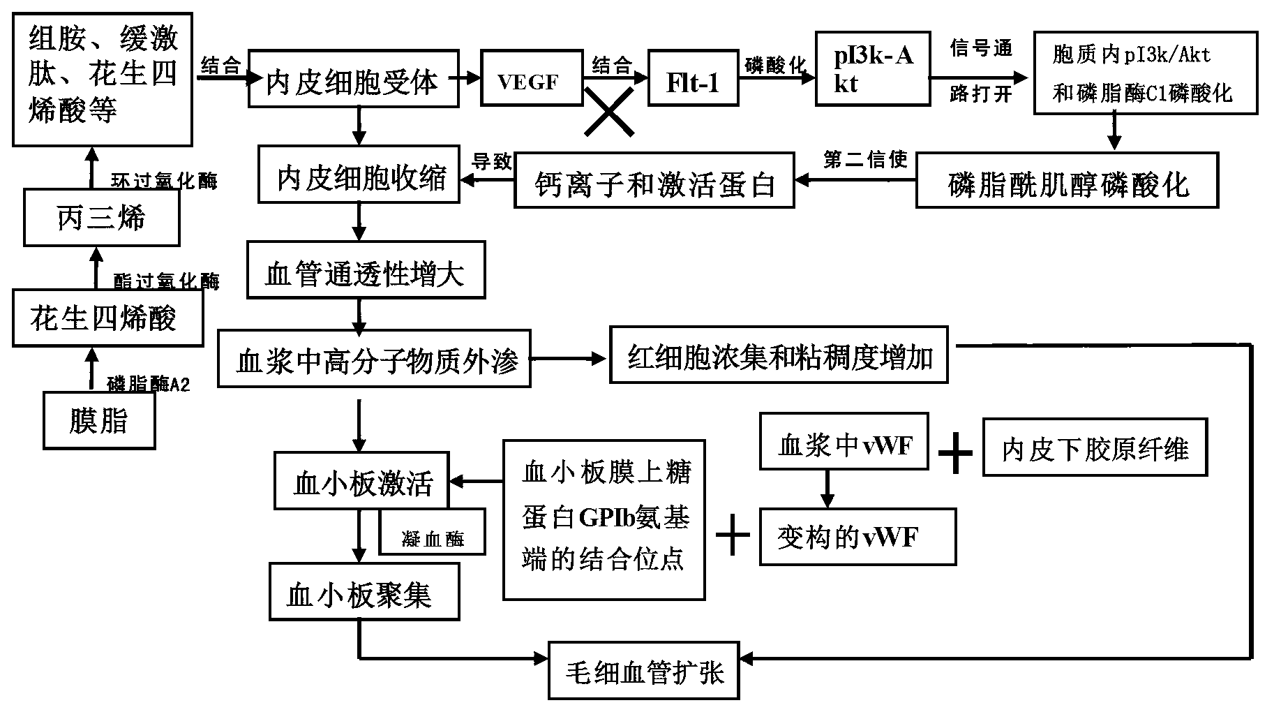 Externally applied Chinese herbal composition with facial redness removing effect, preparation and method for preparing externally applied Chinese herbal composition with facial redness removing effect