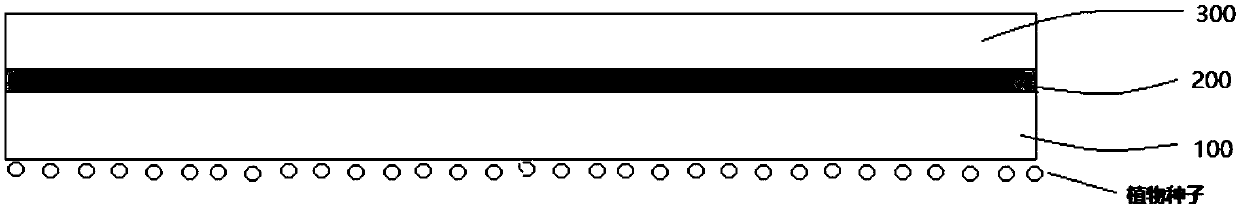 Environment-friendly mulch film capable of realizing sowing and preparation method thereof