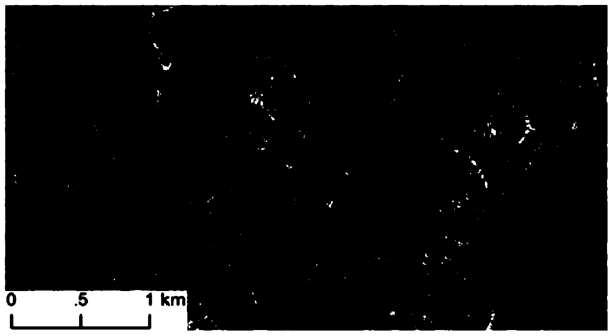 Loess plateau terraced field extraction method based on remote sensing images and DEM