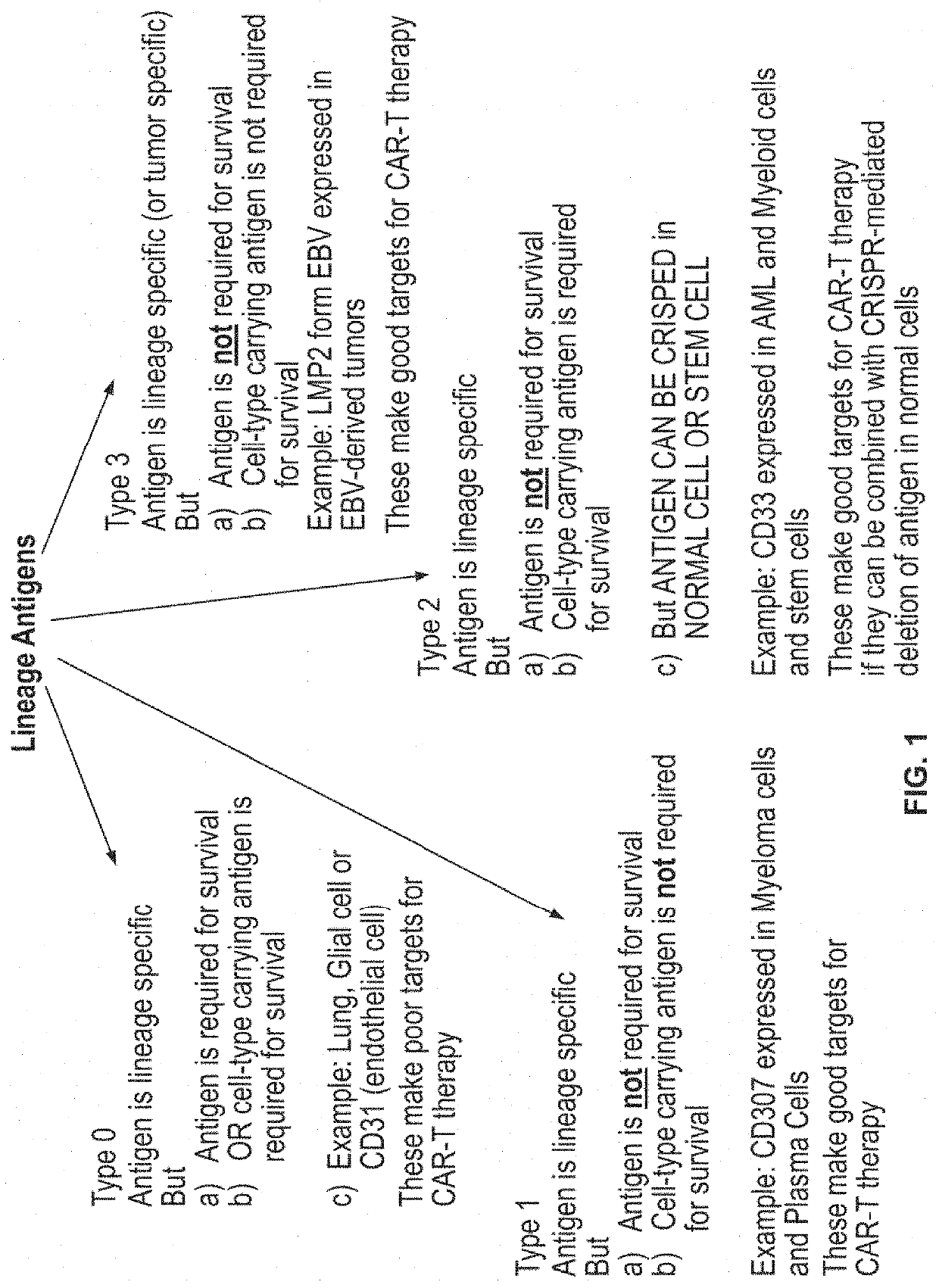 Compositions and methods for inhibition of lineage specific antigens