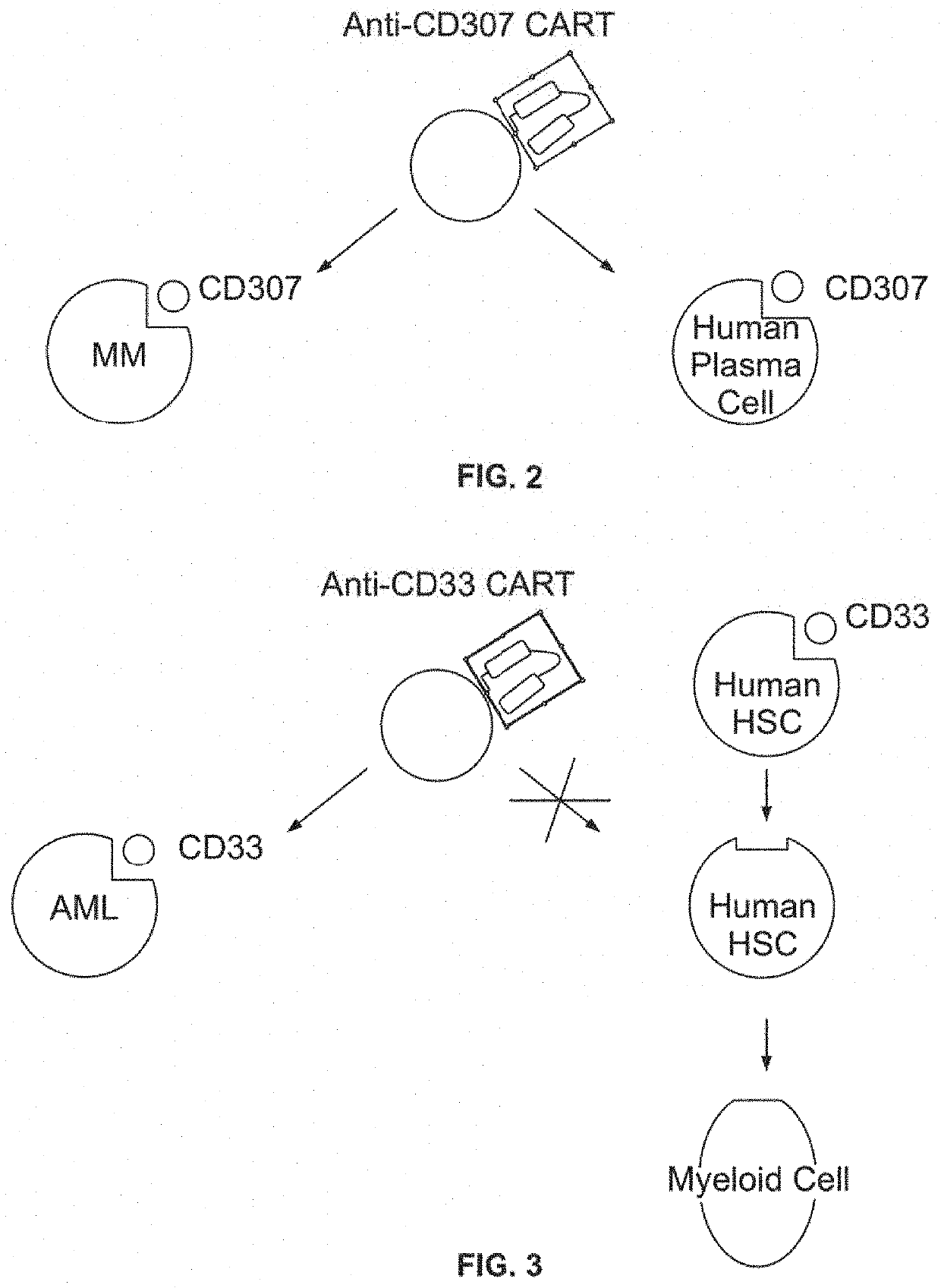 Compositions and methods for inhibition of lineage specific antigens