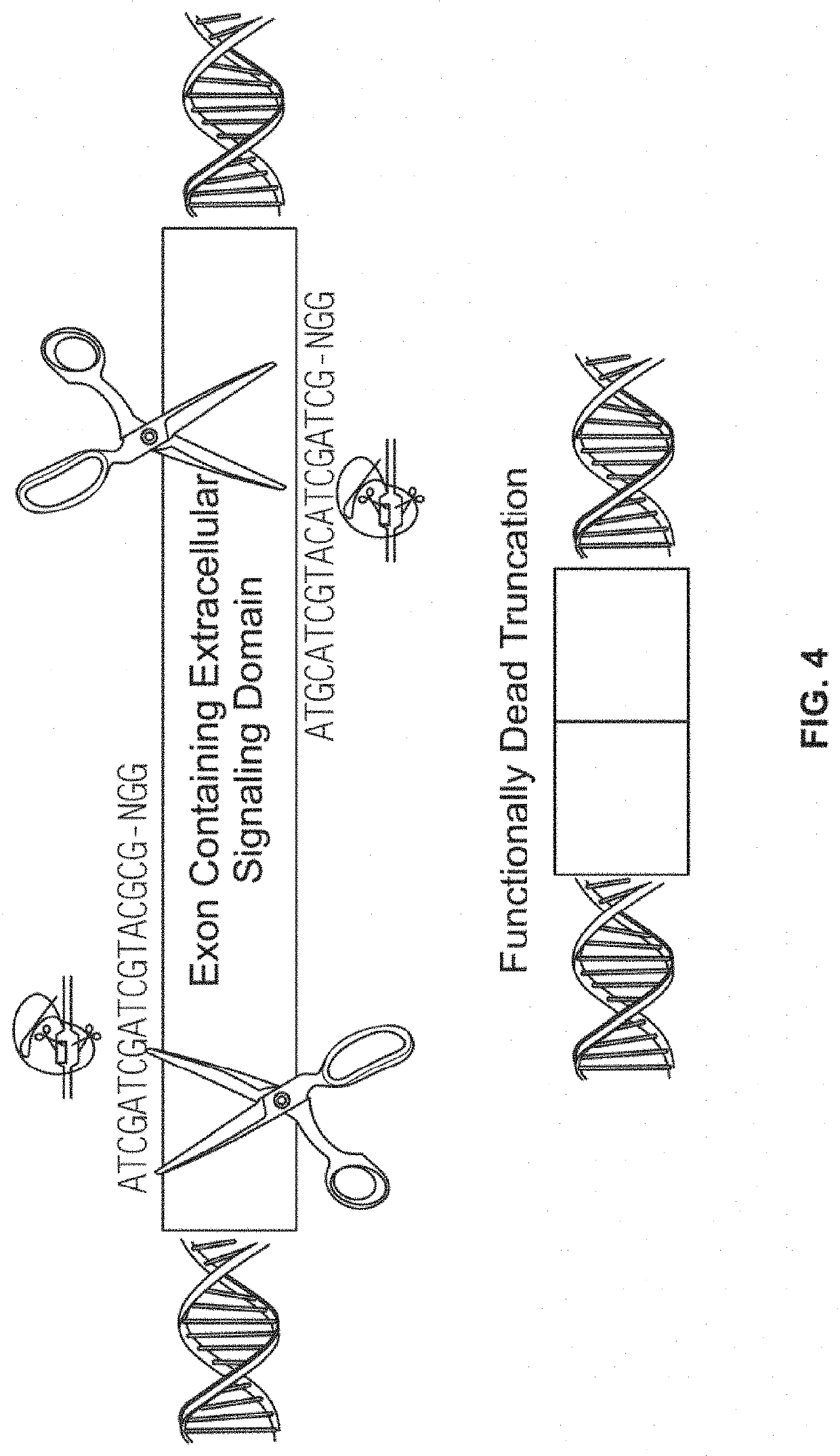 Compositions and methods for inhibition of lineage specific antigens