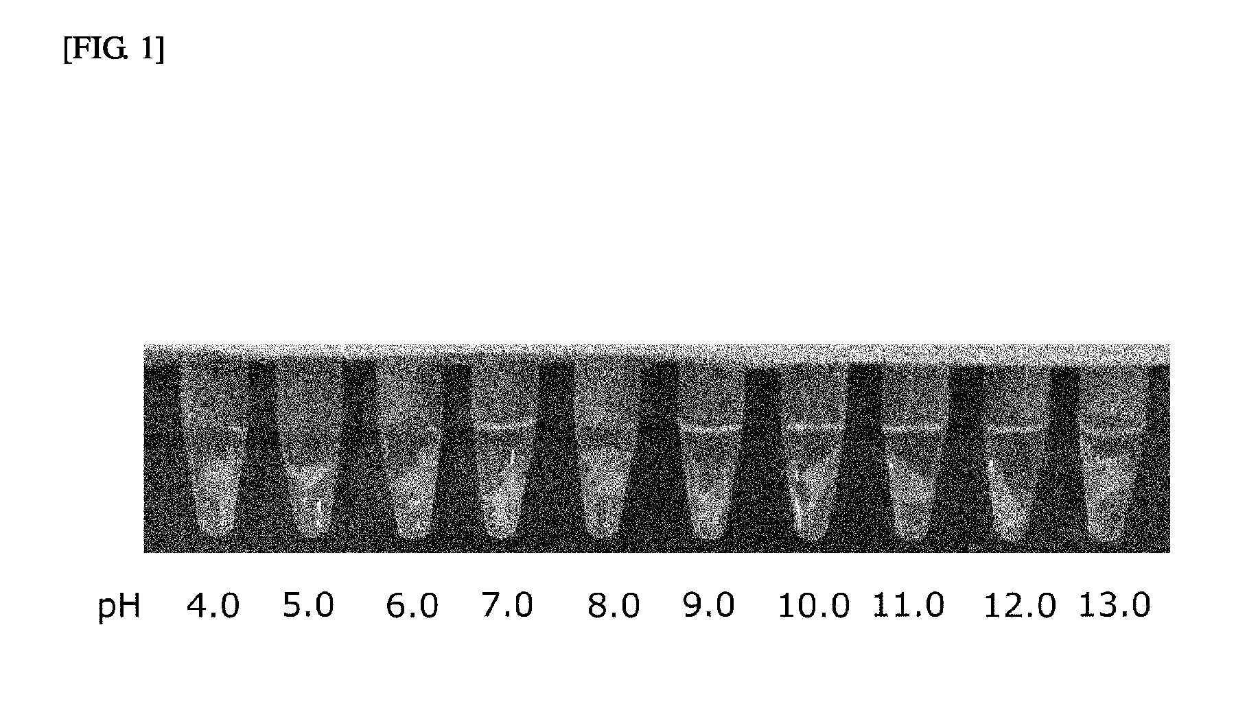 Eggshell membrane solubilization method using enzymes