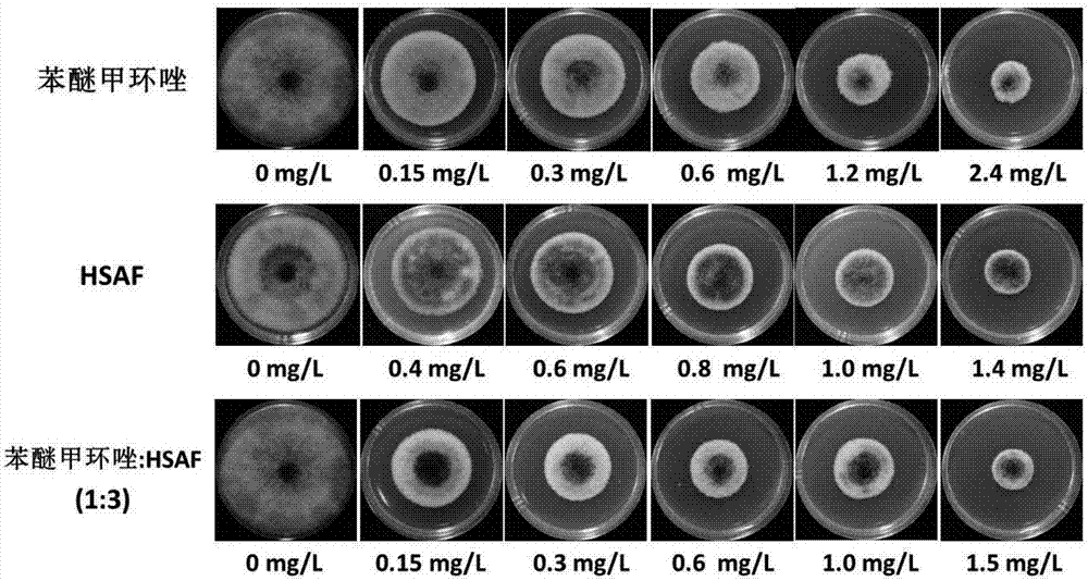 Difenoconazole and biological antifungal substance HSAF (heat stable antifungal factor) containing fungicidal composition and application thereof