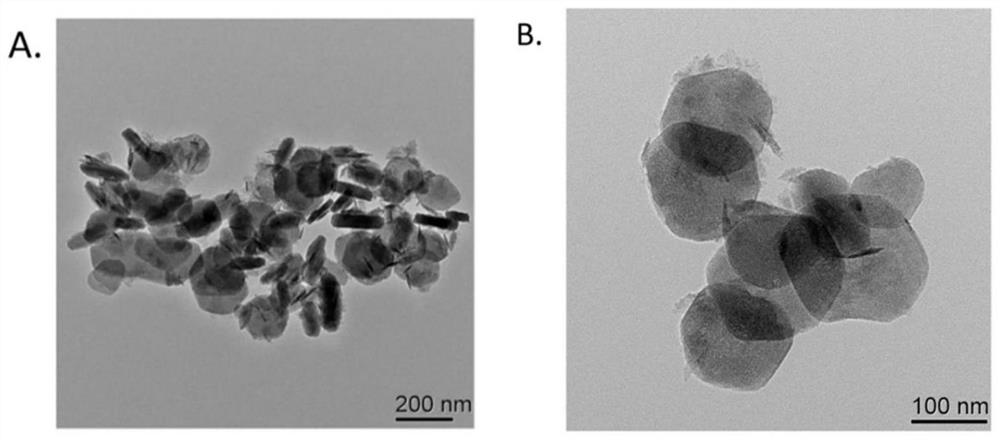 Nanometer material based on layered double hydroxides, preparation method and application