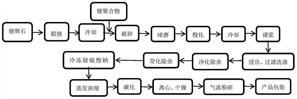 Environment-friendly process for producing lithium carbonate by mixing spodumene and lithium polymer