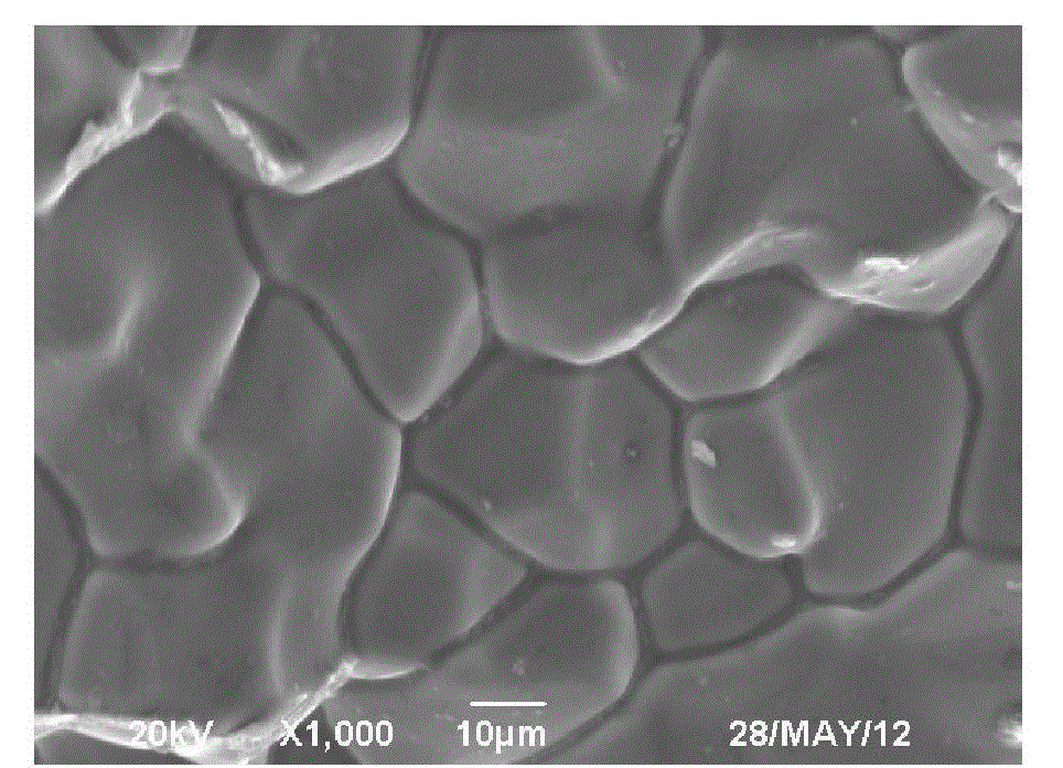 A kind of aluminum alloy conductive wire core with high scandium content for cables and preparation method thereof