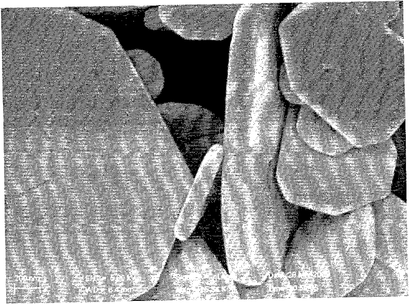 Method for preparing bismuthyl chloride nano-flower