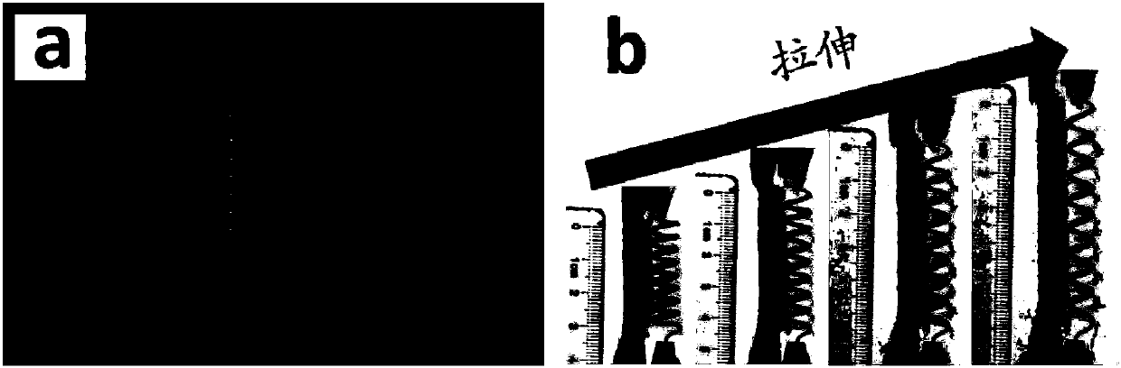 Stretchable supercapacitor with stainless steel spring adopted as base