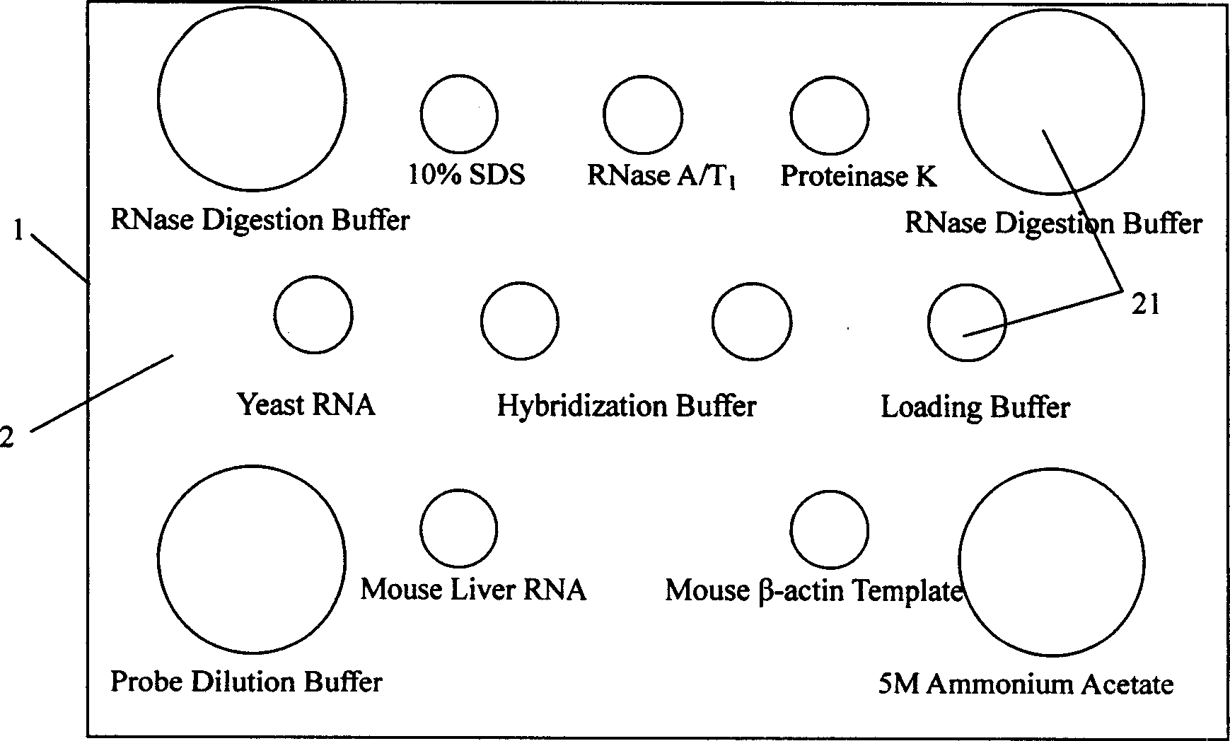 Kit for ribonuclease protecting experiment