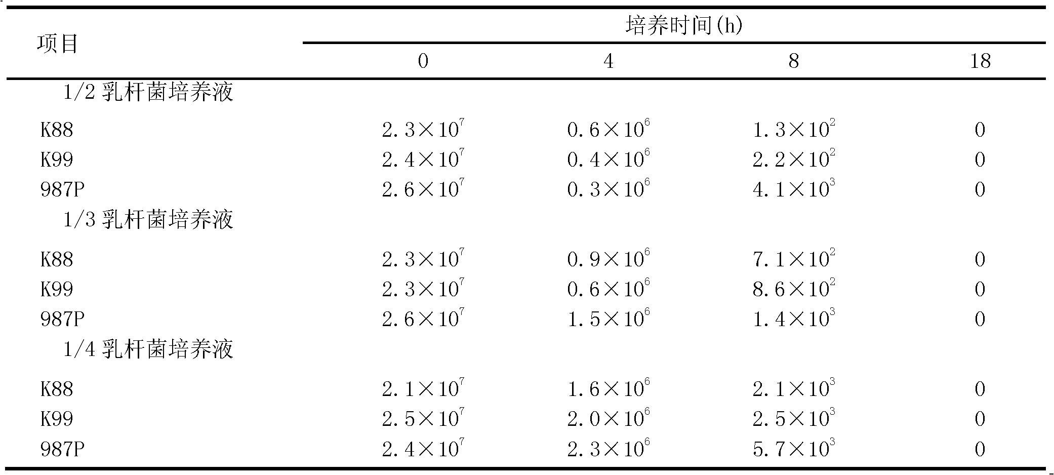 Lactobacillus reuteri strain and application thereof