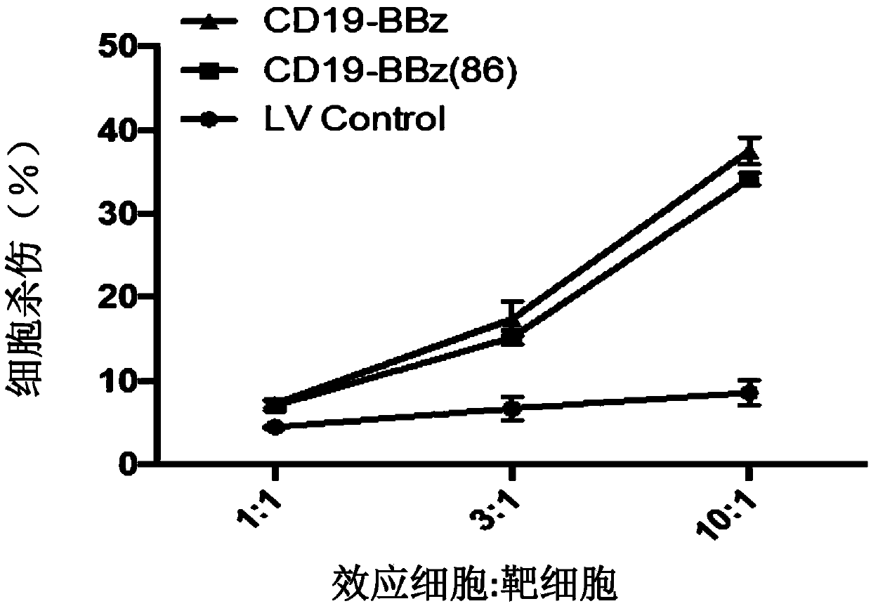 Improved anti-CD19 CAR-T cells