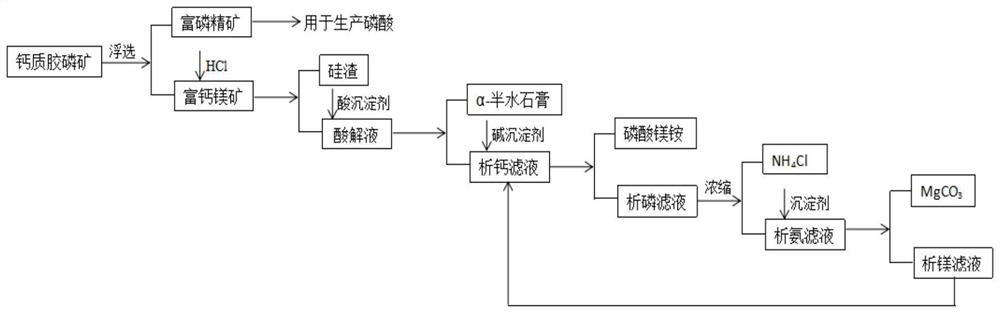 Method for producing phosphorous concentrate from calcareous collophosite and by-product α-hemihydrate gypsum and magnesium carbonate