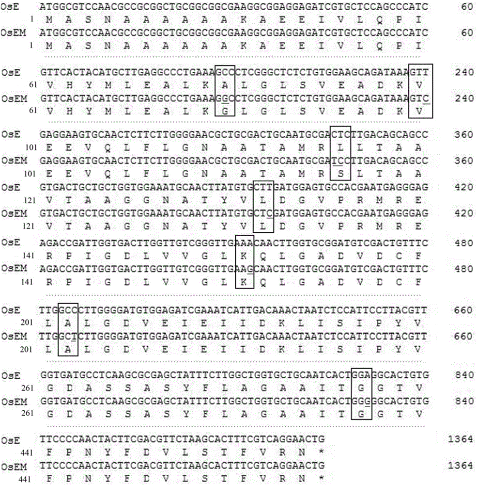 Method for screening glyphosate-resistant gene, EPSPS mutant gene, defect strain and application thereof