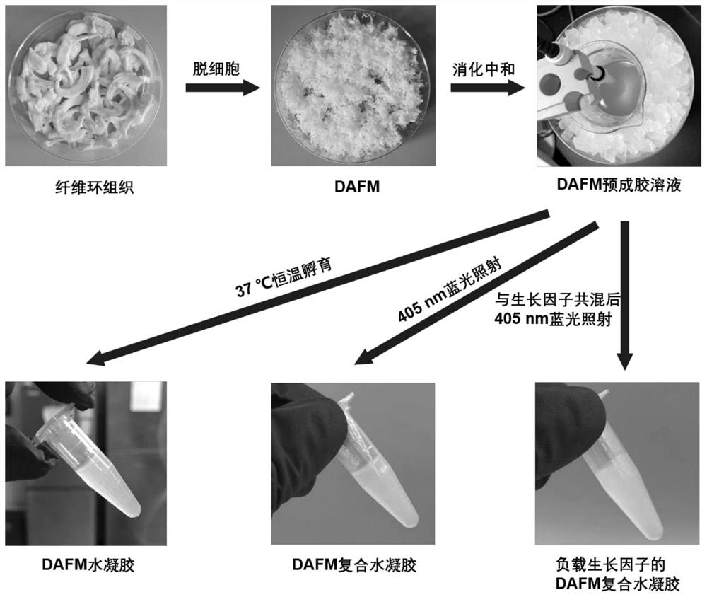 Injectable photo-crosslinking acellular matrix composite hydrogel as well as preparation method and application thereof