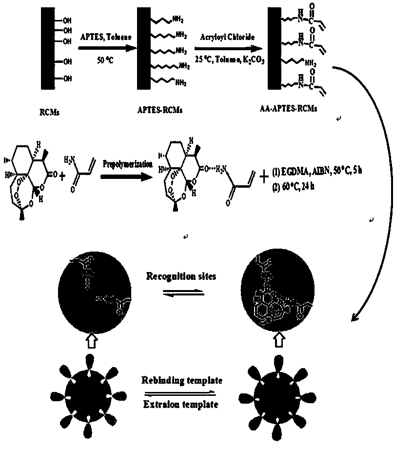 Preparation method for molecularly imprinted composite membrane initiated by surface functional prepolymerization system