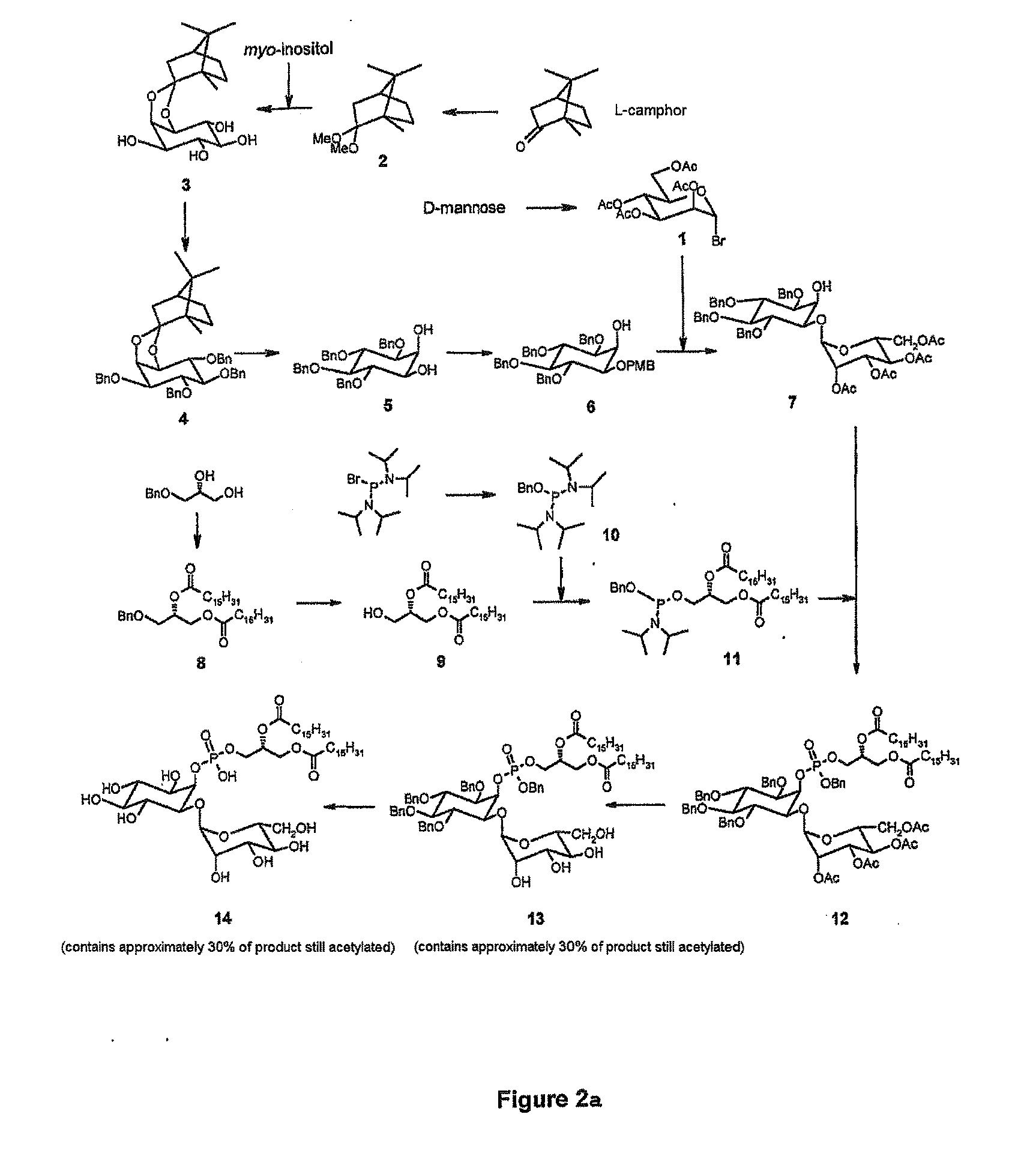 Synthetic analogues of phosphatidyl-myo-inositol mannosides with an inhibitory activity of the inflammatory response