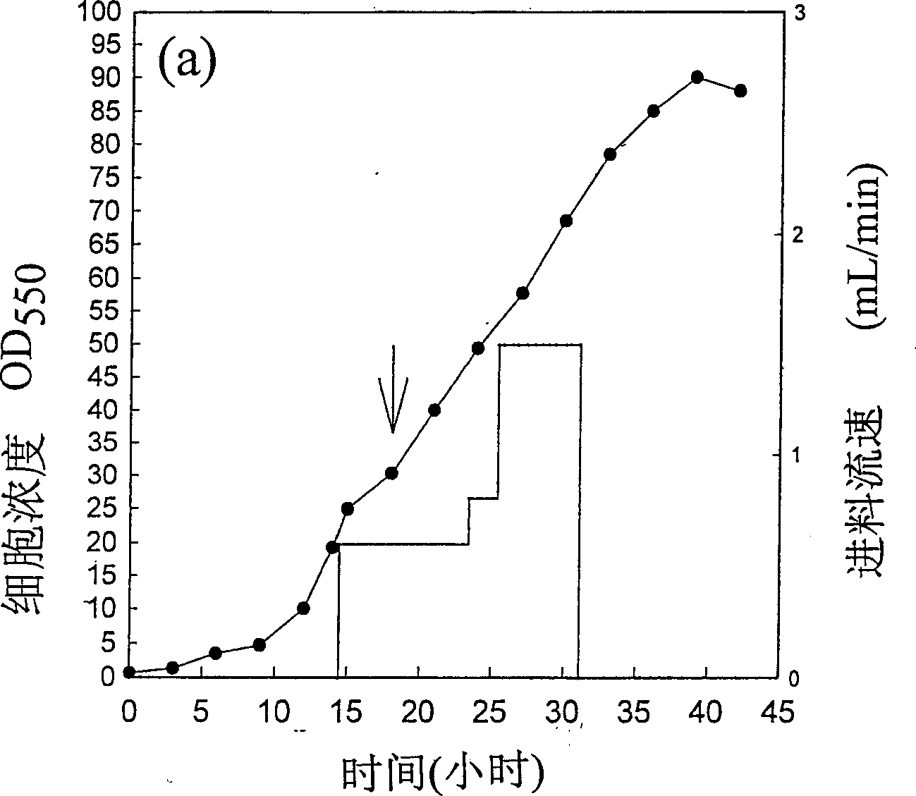 Controlling T7 expression system by means of thermal induction