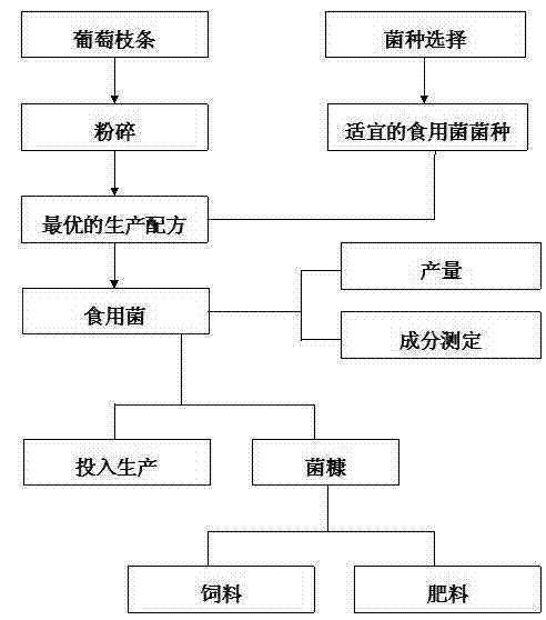 Method for planting king oyster mushroom by using grape branch