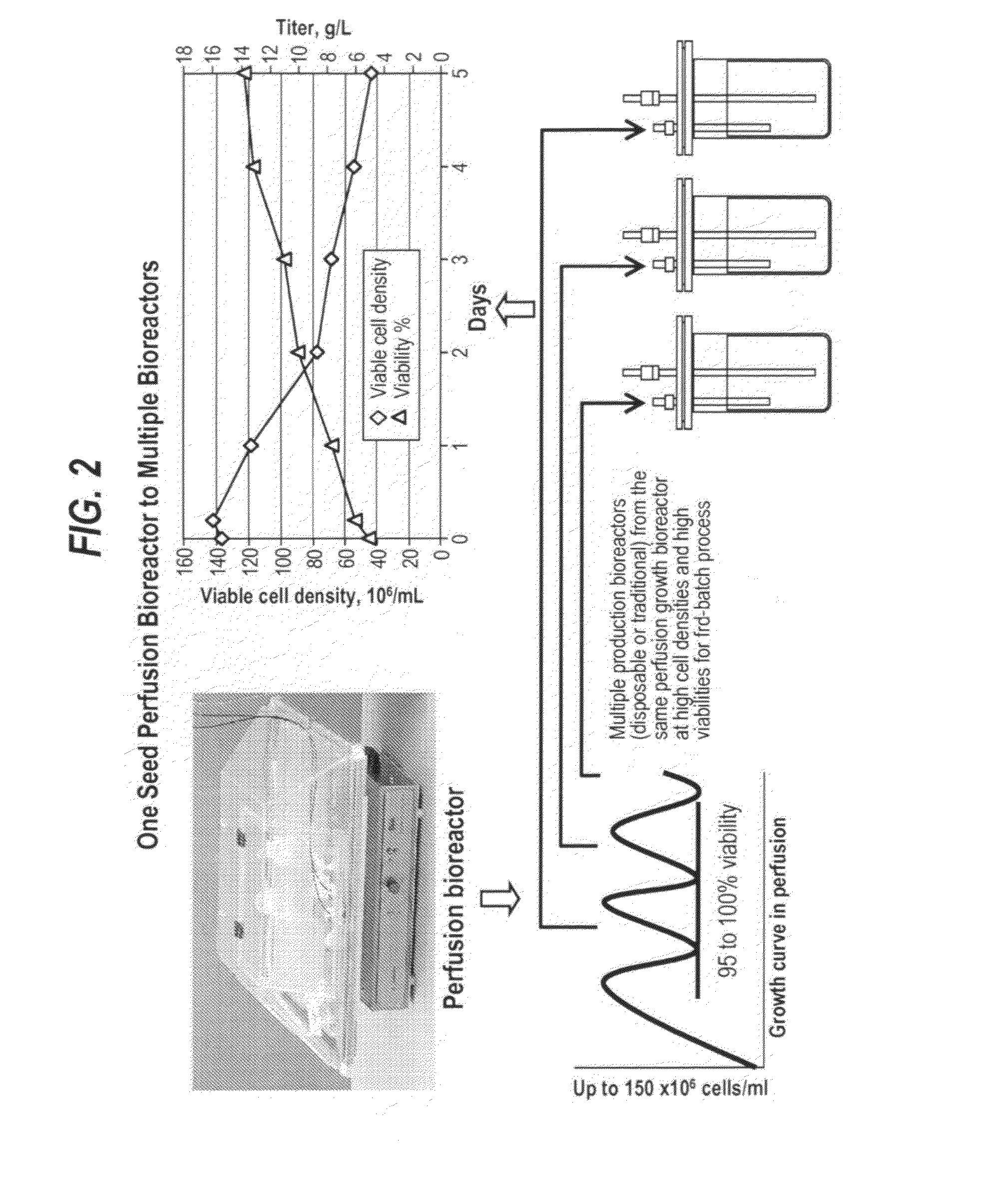 Methods for enhanced protein production