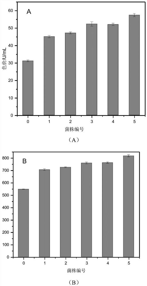 A method for high-throughput screening of high-yielding strains of Monascus pigment