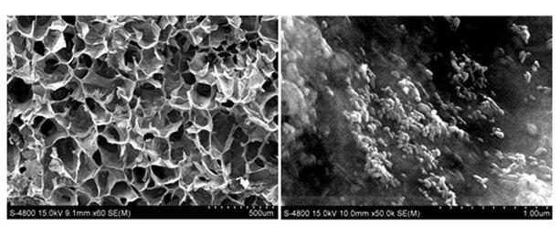 Natural polymer-hydroxyapatite bone tissue engineering scaffold material with secondary three-dimensional network structure and seed-crystal induction preparation method thereof