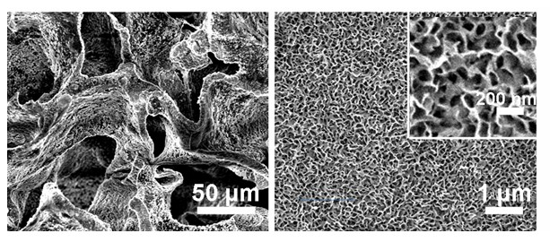 Natural polymer-hydroxyapatite bone tissue engineering scaffold material with secondary three-dimensional network structure and seed-crystal induction preparation method thereof