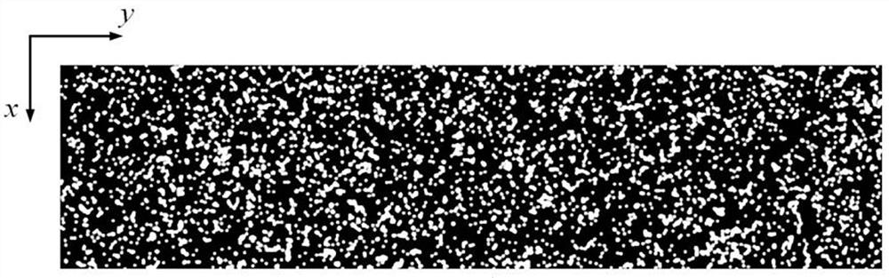 Ridge regression strain measurement method with initial value in digital image correlation