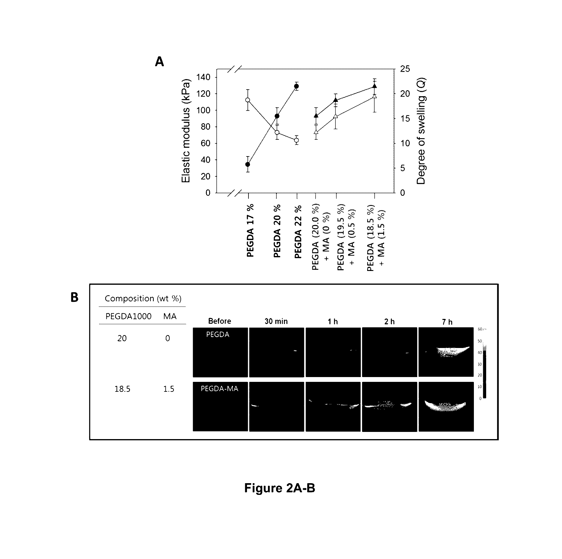 Microvascular stamp for patterning of functional neovessels