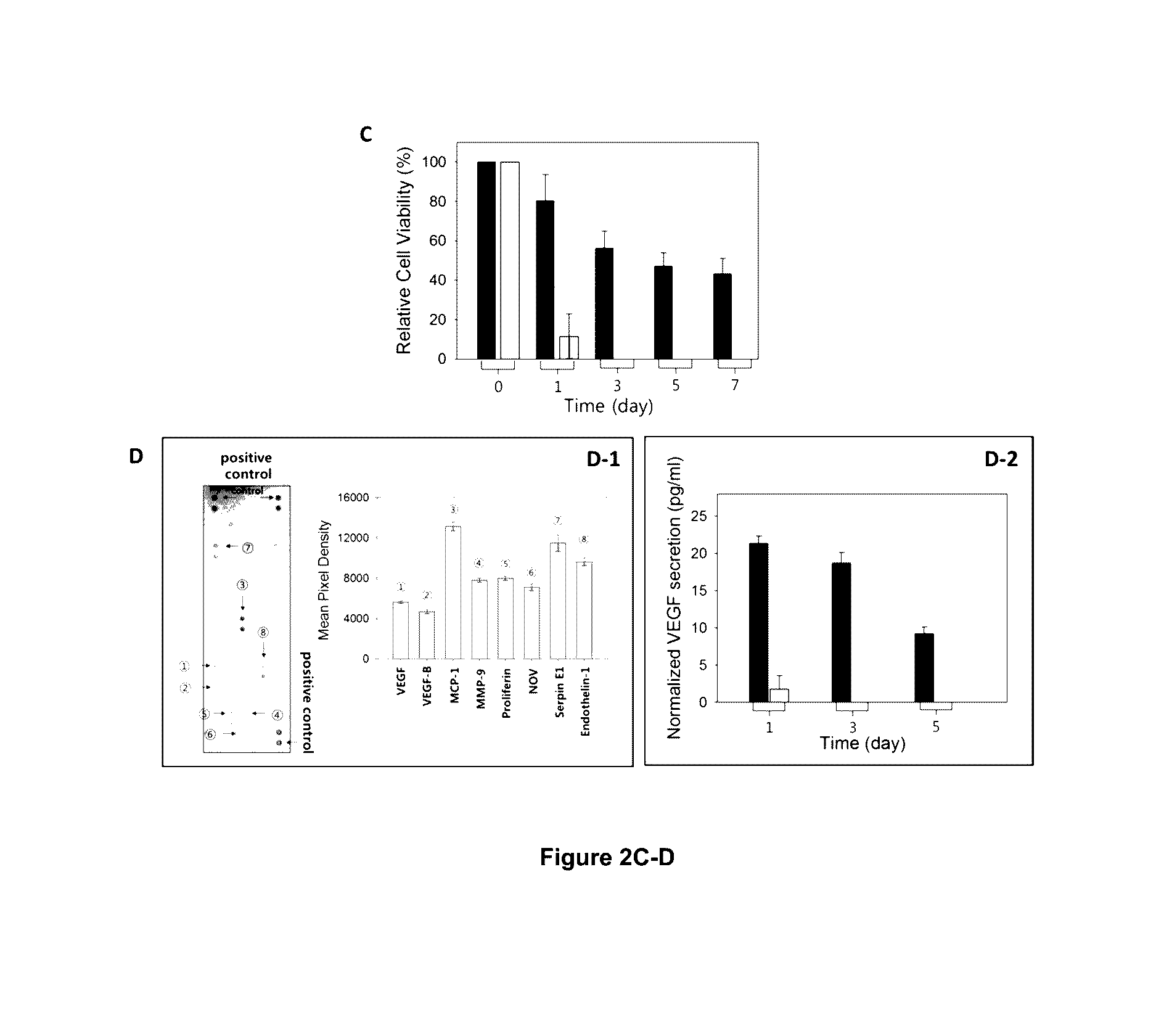 Microvascular stamp for patterning of functional neovessels