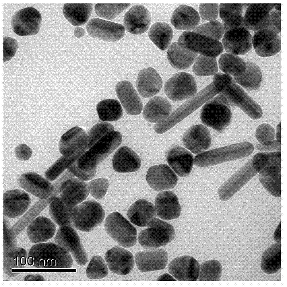 Universal surface-enhanced Raman spectrum quantitative analysis method