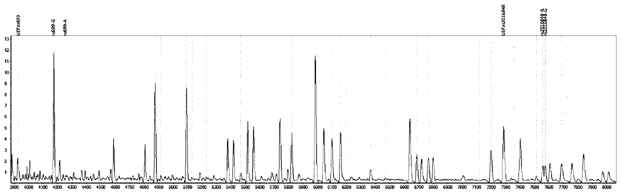 Detection product for distinguishing individualized medication types of trandolapril