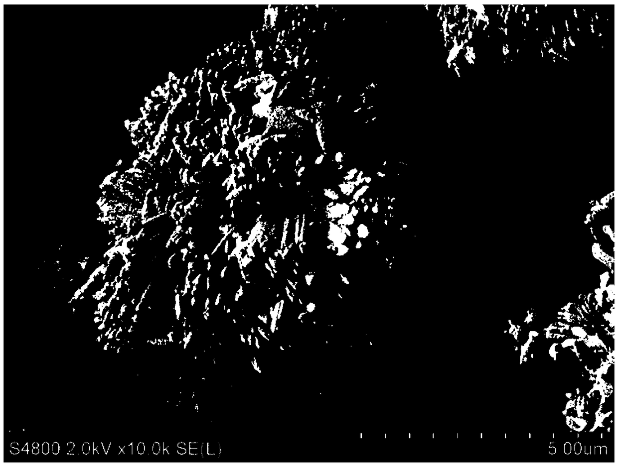 Preparation method of ball-cluster-shaped light calcium carbonate