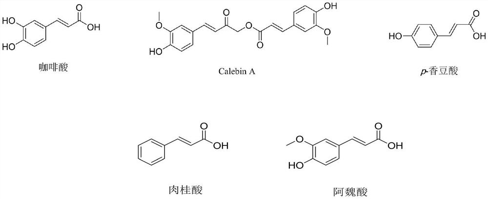 Phenylacrylate Derivatives and Their Use as Neuroprotective Drugs