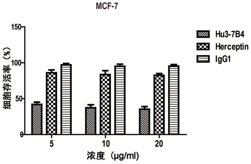 Combined application of ErbB2 antibody and Saracatinib in preparation of medicine for treating breast cancer